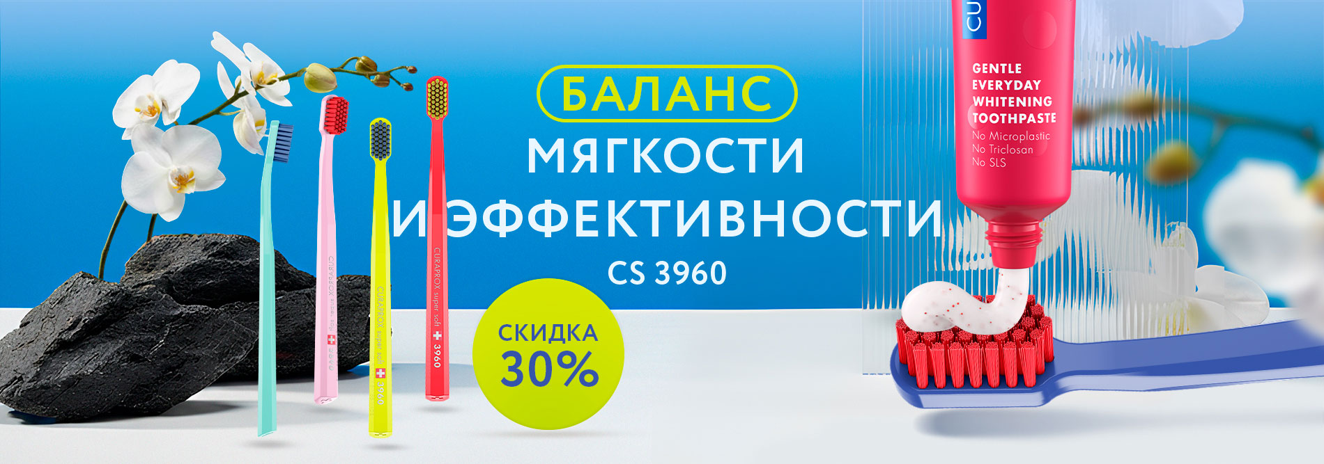 РОЗ_010626_3960